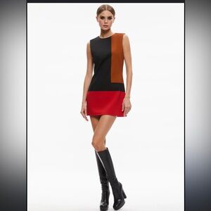 Alice and Olivia Wynell Mini Dress